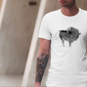 Cave Art Tees